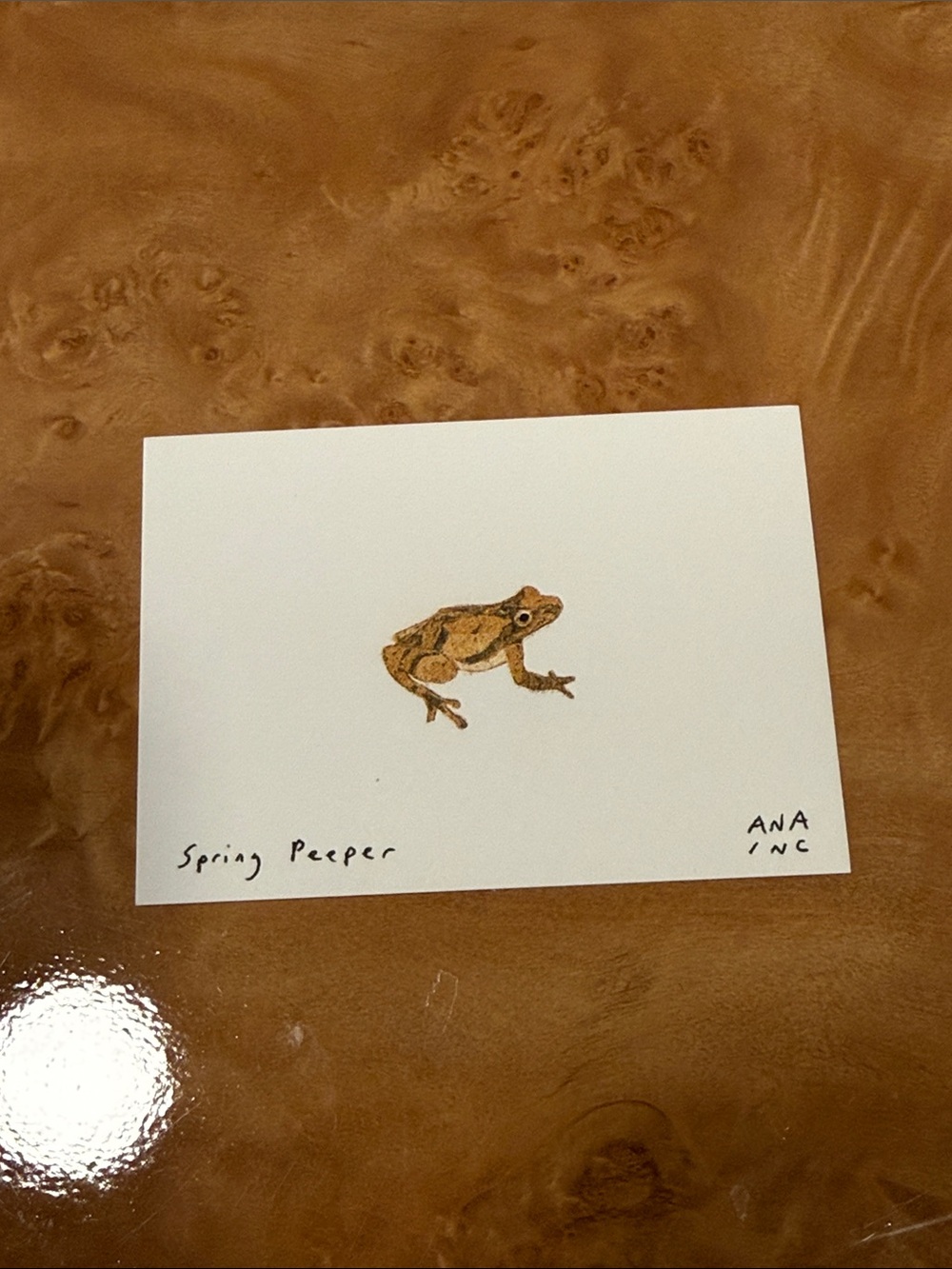 Inciardi Mini Print Spring Peeper